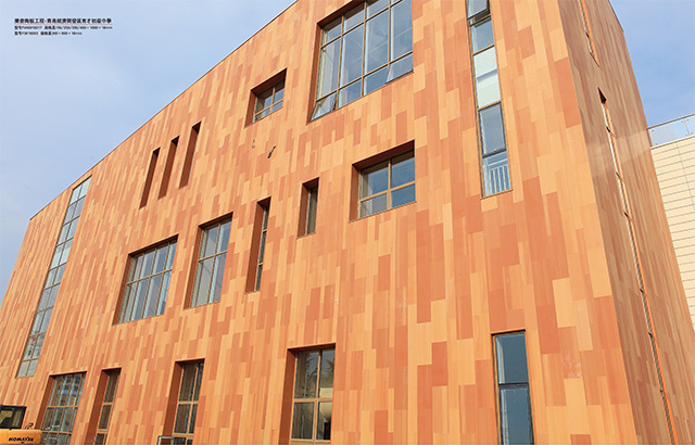 LOPO’s Terracotta Solid Tiles bring together sustainability, durability, and aesthetic flexibility. Suitable for both interior and exterior cladding, these Terracotta Wall Tiles offer a natural, enduring look that enhances the appeal of any building.