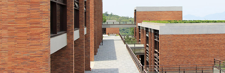 Long Format Bricks are thicker than thin bricks, providing additional strength and durability.